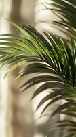 Fresh green palm leaves casting soft shadows on beige wall, close-up view with selective focus creating minimalist natural composition.