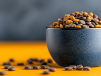 Fresh roasted coffee beans in dark ceramic bowl on vibrant yellow background with selective focus and copy space, modern minimalist food photography.