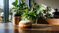 Freshly baked donut with powdered sugar on wooden table near potted plants and coffee cup in bright cafe interior with natural light.