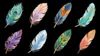Colorful feather collection isolated on transparent background, ready for t-shirt design, clipart, stickers, sublimation, print-on-demand products and digital crafts.