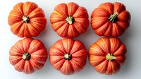 Fresh orange pumpkins arranged in two rows on white background, top view. Seasonal autumn decorative gourds for Halloween and fall harvest decor.