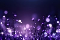 Purple wildflowers silhouetted against dreamy bokeh lights creating magical twilight meadow atmosphere for romantic backgrounds and nature designs.
