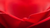 Red rose petals macro close-up with soft curves and delicate texture for romantic Valentine's Day greeting cards and love-themed designs.