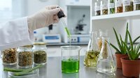 Young scientist or researcher in white lab coat conducting botanical extraction experiment with green liquid in glass beaker, surrounded by dried plant samples in containers and laboratory equipment in modern facility.