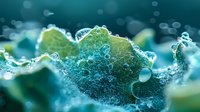 Macro photography of water droplets and bubbles creating abstract organic shapes in turquoise and green tones against blurred background. Great for nature designs.