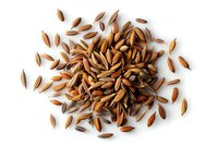 Aromatic cumin seeds scattered on white background, macro food photography perfect for culinary, cooking blogs and spice marketing materials.