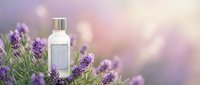 Lavender essential oil bottle surrounded by fresh purple lavender flowers in soft natural light for aromatherapy and wellness products.