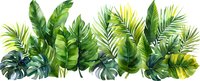 Lush tropical foliage border with vibrant green palm leaves, monstera, and banana leaves on white background, isolated for graphic design projects.