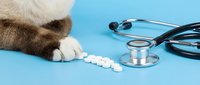Cat paw touching white pills with stethoscope on blue background, veterinary medicine and pet healthcare concept.