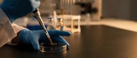 Laboratory scientist in blue gloves conducting precise research with pipette and petri dish in modern scientific facility for medical testing and analysis.