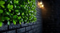 Fresh green leaves against dark brick wall with soft bokeh lights creating moody garden atmosphere. Natural urban landscaping detail with evening illumination.