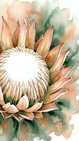 Watercolor protea flower with orange and green tones on white background, botanical art for home decor and nature-themed designs.