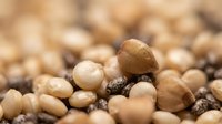 Mixed nuts and legumes collection featuring chickpeas, lentils, and various beans in natural brown tones for healthy cooking and nutrition concepts.