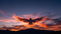 Majestic eagle silhouette soaring against dramatic sunset sky with vibrant orange and purple clouds over mountain landscape for nature and wildlife designs.