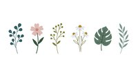 Isolated botanical elements featuring hand-drawn flowers, berries, and foliage in muted tones. Ready for design projects, invitations, and decorative applications.