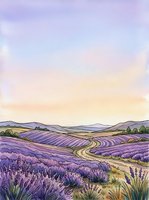 Lavender field landscape with rolling hills, winding rural road, and soft pastel sky at sunrise or sunset. Suitable for travel, agriculture, nature, and wellness design projects.