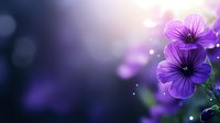 Purple geranium flowers in soft focus against dark background with bokeh lights and magical sparkles, creating dreamy floral atmosphere.