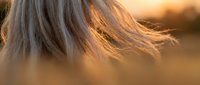 Blonde hair flowing in warm golden sunlight during sunset hour creating natural highlights and soft movement for beauty and lifestyle concepts.