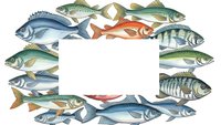 Colorful fish species frame with blank white space for text, marine life border design for seafood restaurant menus, fishing industry promotional materials.
