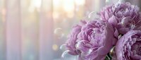 Purple peonies with soft bokeh background, ideal for floral designs, wedding invitations, greeting cards, and spring-themed projects.
