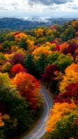 Winding mountain road through vibrant autumn forest with red, orange and yellow foliage. Misty hills and dramatic clouds create scenic fall landscape.