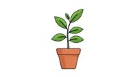 Young green plant growing in terracotta pot isolated on white background for gardening and growth concepts.