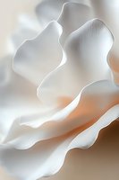 Soft flowing white fabric creates gentle waves and folds against warm background, capturing ethereal light and shadow play for luxury fashion and wedding designs.