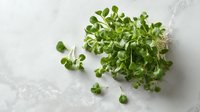 Fresh microgreens on white marble background, vibrant green sprouts with delicate stems and leaves for culinary garnish and nutritional boost.