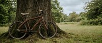 Vintage brown bicycle leaning against large tree trunk in rural meadow with green grass and forest background, outdoor recreation and nature lifestyle.