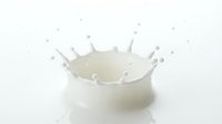White milk splash crown with droplets on clean background for dairy product advertising and food photography projects.