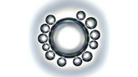 Metallic ball bearings arranged in circular formation around central sphere on white background, suitable for industrial and mechanical design projects.