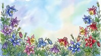 Watercolor columbine flowers in pink, blue, red, and yellow frame a soft pastel sky background, perfect for greeting cards and nature designs.
