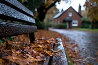 Raindrops on wooden park bench with fallen autumn leaves, brick house in background on rainy day. Moody fall scene with wet pavement and cozy cottage atmosphere.