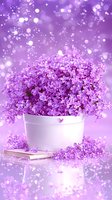 Fragrant lilac flowers in white pot against dreamy purple bokeh background with scattered petals and small book for spring decor.