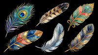 Colorful decorative feathers set isolated on transparent background, ready for t-shirt design, stickers, clipart, sublimation, and print on demand projects.
