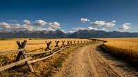 Rural dirt road through golden wheat field with wooden fence leading to snow-capped mountain range under blue sky with white clouds in countryside landscape.