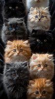 Adorable Persian cats with different colored fur and expressive eyes looking at camera. Group of black, gray and ginger kittens creates engaging composition.
