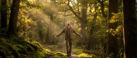 Young Caucasian man with arms outstretched walking on forest path surrounded by golden autumn trees with warm sunlight filtering through canopy.