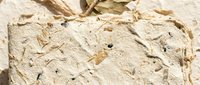 Handmade paper texture with natural plant fibers and organic materials embedded in cream colored surface for craft projects and artistic backgrounds.
