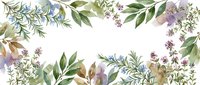 Watercolor botanical frame with mixed herbs, wildflowers and green foliage arranged on white background. Suitable for wedding invitations, greeting cards and decorative designs.