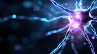 Glowing neuron cell with purple nucleus and blue dendrites on dark background with bokeh effect, scientific medical visualization for neuroscience research.