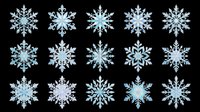 Snowflake seamless pattern with fifteen crystalline designs in shades of blue and white, isolated on transparent background. Ready for sublimation, t-shirt printing, stickers, and print-on-demand products. Tiles seamlessly into continuous winter background.
