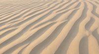 Natural sand dune ripples formed by wind erosion creating wavy textured patterns in desert landscape. Abstract background for nature and geology concepts.