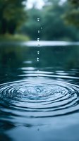 Water droplets creating concentric ripples on calm lake surface with blurred forest background in teal blue tones.