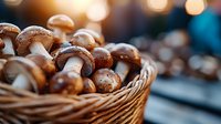 Fresh brown champignon mushrooms in woven basket with soft bokeh background, close up view. Natural organic produce for cooking and healthy eating.