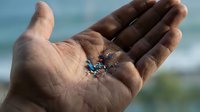 Hands holding colorful microplastics pollution particles against blurred ocean background showing environmental contamination and marine debris impact.