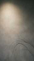 Dramatic moody background with soft light beam and delicate grass silhouettes creating atmospheric depth for creative projects and design work.