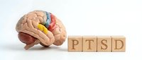 Anatomical brain model beside wooden blocks spelling PTSD on white background, representing mental health, trauma, and psychological disorder awareness.