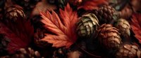 Autumn composition with vibrant red maple leaves and pine cones creating seasonal rustic atmosphere for harvest decoration or fall-themed designs.