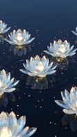 Crystal lotus flowers floating on dark water with golden light reflections creating magical zen atmosphere for meditation and spiritual wellness concepts.